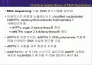 (강추) DNA의 유전 (Heredity)에서의 역할 65페이지