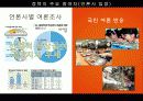 무상급식발표 15페이지