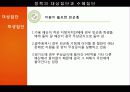 무상급식발표 25페이지