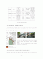 헤테로토피아로 분석한 현대 도시의 프로그램 관계성에 대한 연구 27페이지