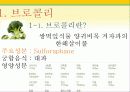 타임(Time)지가 선정한 10대 건강음식 3페이지
