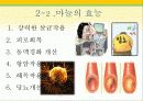 타임(Time)지가 선정한 10대 건강음식 8페이지