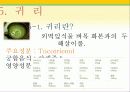 타임(Time)지가 선정한 10대 건강음식 15페이지