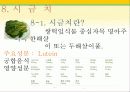 타임(Time)지가 선정한 10대 건강음식 22페이지