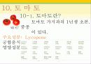 타임(Time)지가 선정한 10대 건강음식 26페이지