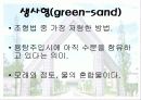 주조 (사형주조와 금형주조의 원리와 실습) 18페이지