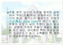 주조 (사형주조와 금형주조의 원리와 실습) 19페이지
