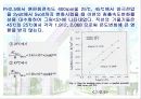 전해아연 도금욕 중에서 아연의 침출 반응속도에 관한 연구  11페이지