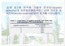 전해아연 도금욕 중에서 아연의 침출 반응속도에 관한 연구  13페이지
