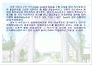 전해아연 도금욕 중에서 아연의 침출 반응속도에 관한 연구  18페이지