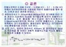 전해아연 도금욕 중에서 아연의 침출 반응속도에 관한 연구  19페이지