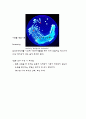 미생물 배양 & 관찰 14페이지