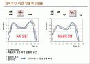 [인체역학] 시작 보행과 정상상태 보행에서 나타나는 지면 반발력 특성 연구 7페이지