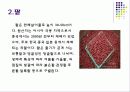 [식품학] 식물성 식품(두류) 7페이지