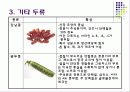 [식품학] 식물성 식품(두류) 9페이지