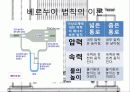 베르누이의 법칙 A+ 자료 쉽게 되어 있어요 6페이지