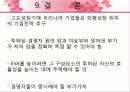 EVA(경제적부가가치) 24페이지