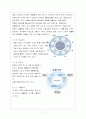 경동나비엔보고서 7페이지