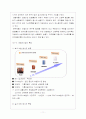 경동나비엔보고서 11페이지