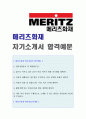(2019년 메리츠화재 자기소개서) 메리츠화재 영업관리직 자기소개서 합격예문 + 연봉정보/인재상 [메리츠화재해상보험 합격자소서/채용정보][메리츠화재 자소서 자기소개서 합격샘플] 1페이지