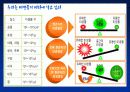 (A+)EM유용미생물에 대한 보고서 7페이지