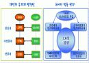 (A+)EM유용미생물에 대한 보고서 8페이지