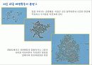 (A+)EM유용미생물에 대한 보고서 11페이지