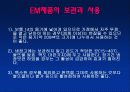 (A+)EM유용미생물에 대한 보고서 13페이지