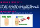 (A+)EM유용미생물에 대한 보고서 14페이지