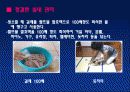 (A+)EM유용미생물에 대한 보고서 25페이지
