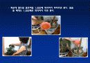 (A+)EM유용미생물에 대한 보고서 27페이지