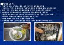 (A+)EM유용미생물에 대한 보고서 28페이지