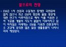 (A+)EM유용미생물에 대한 보고서 33페이지