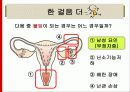 (공통과학 임신과 출산 단원) 수업시연 - 수정에서 임신까지… 12페이지