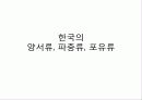 (A+)한국의 양서류, 파충류,포유류조사 1페이지