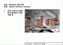 (A+)한국의 양서류, 파충류,포유류조사 83페이지