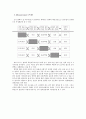 임파워먼트 특징, 사례 및 중요성  14페이지