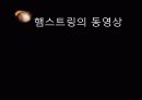 햄스트링 PPT 5페이지