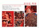 [국제관광][발표]스페인으로의 여행 - 훌라!! 스페인, 정열의 에스파냐! 34페이지
