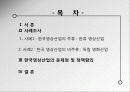 한류와 독립영화 : 문화산업의 주류, 비주류 구분에 의한 문제점 - 영상산업(한류영상산업과 독립영화)을 중심으로  2페이지