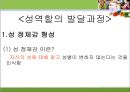 [유아교육] 성 역할 발달 이론 11페이지