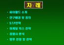 싸이월드마케팅사례 2페이지