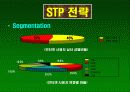 싸이월드마케팅사례 10페이지