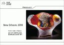 론아라드(Ron Arad) 18페이지