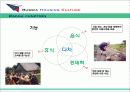 러시아주거문화 21페이지