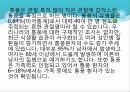 통풍 4페이지