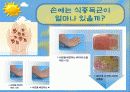 식품위생교육 19페이지