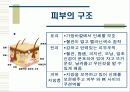 욕창관리 및 예방 7페이지
