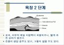 욕창관리 및 예방 11페이지