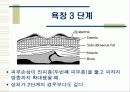 욕창관리 및 예방 13페이지